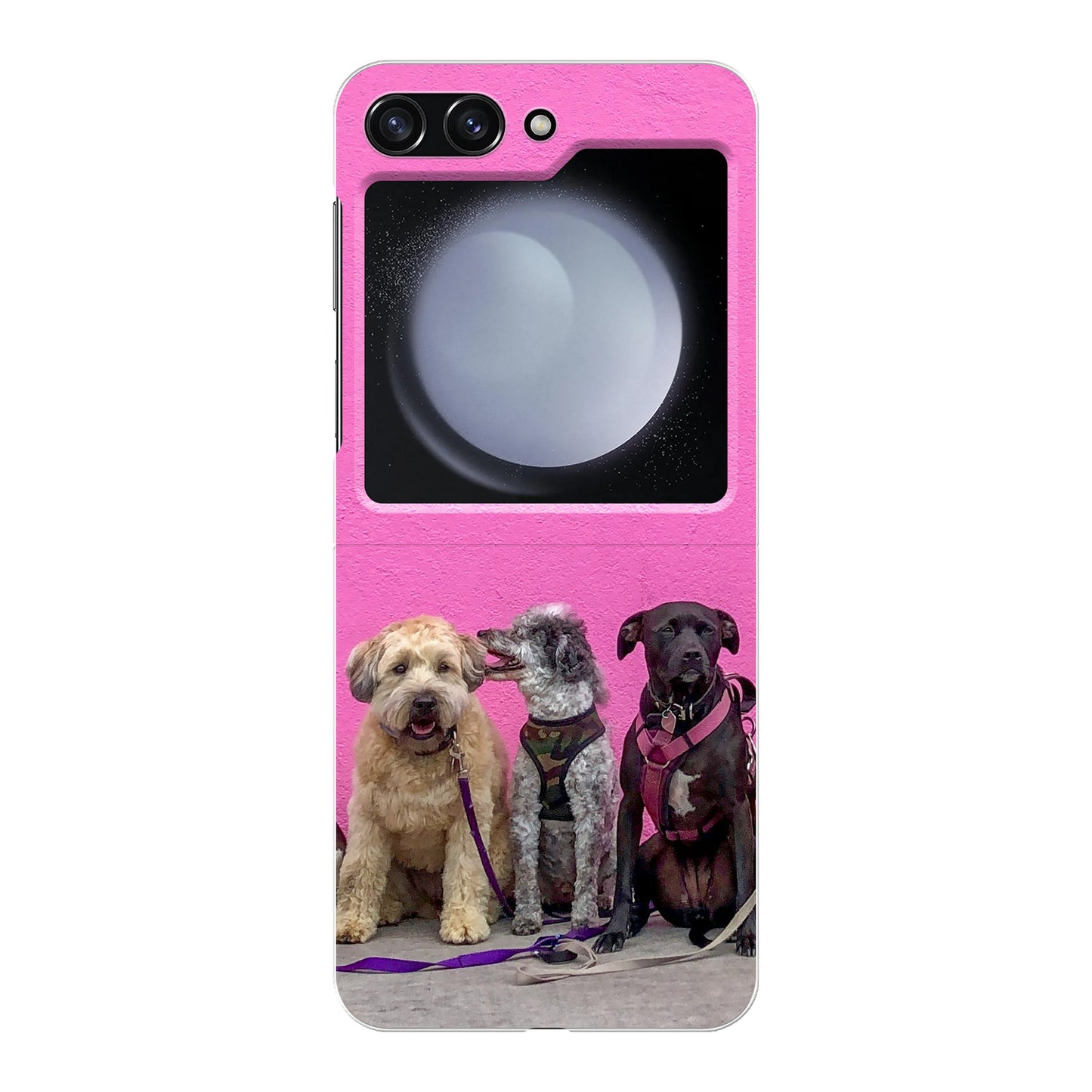 Samsung Galaxy Z Flip5 Hard case (back printed, transparent)