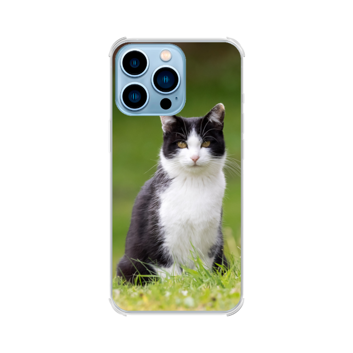 Apple iPhone 13 Pro Bumper case (back printed, transparent)